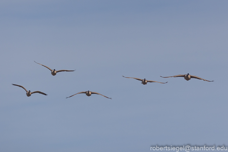 emily renzel wetlands 2022